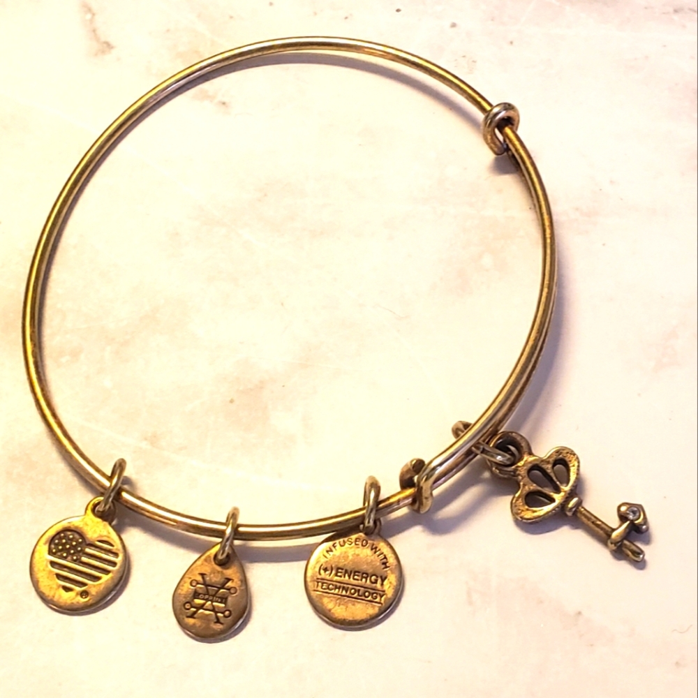 Alex and Ani Skeleton Key Gold Bracelet